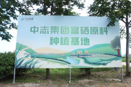 Huaiyuan Selenium-rich Glutinous Rice Planting Base