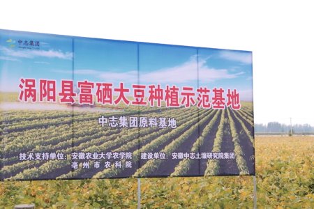 Guoyang Selenium-rich Soybean Planting Base