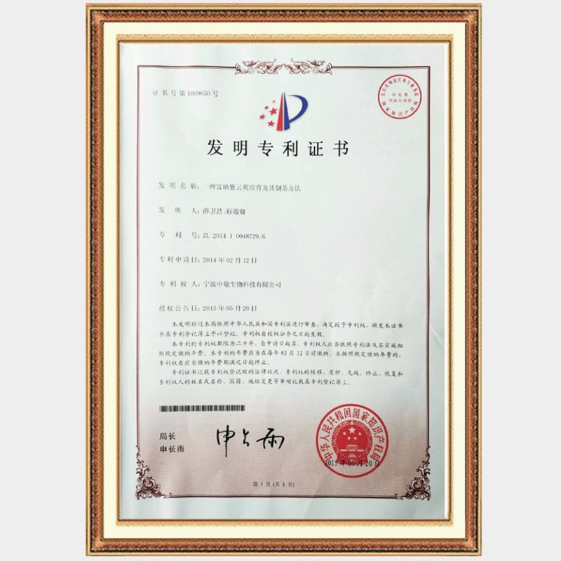 A method for cultivating selenium-rich astragalus sinensis and making tea thereof