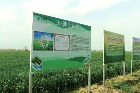 Dr. 3H Farm in Mengcheng