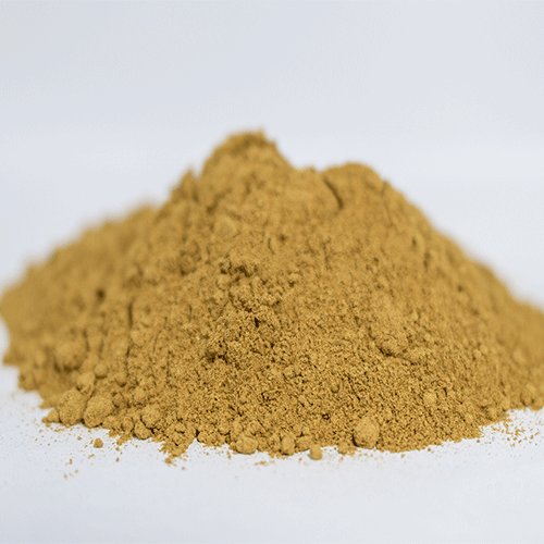 Cassia Seed Powder