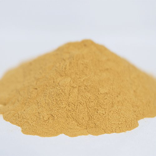 Codonopsis Root Powder