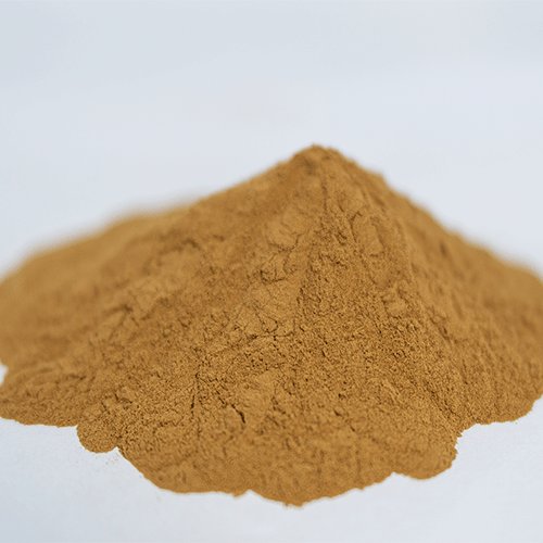 Reishi Mushroom Powder