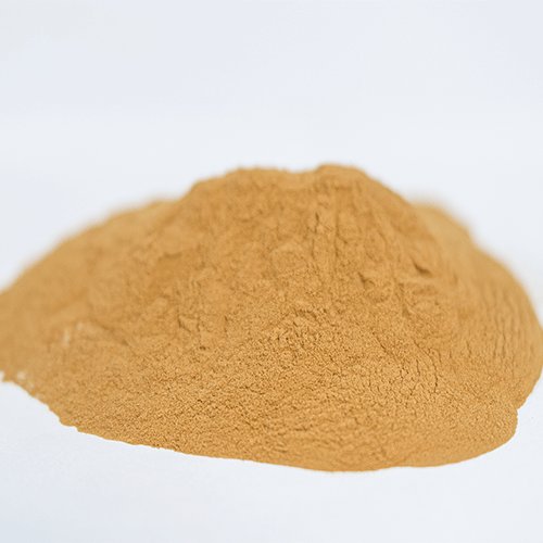 Shiitake Mushroom Powder