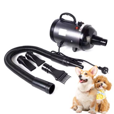 Dog and Cat Hair Drying