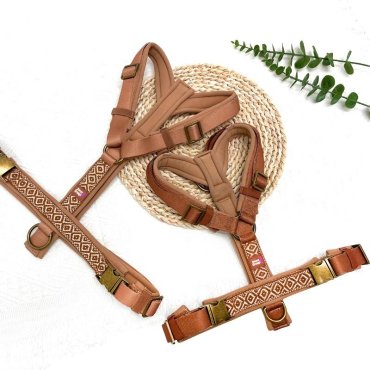 Pet Nylon Webbing Harness