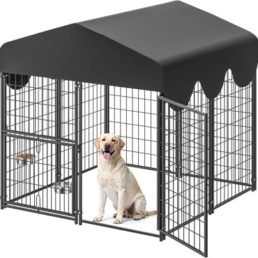 Outdoor Dog Kennel with Roof Cover