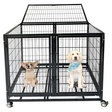Double Door Folding Dog Crate