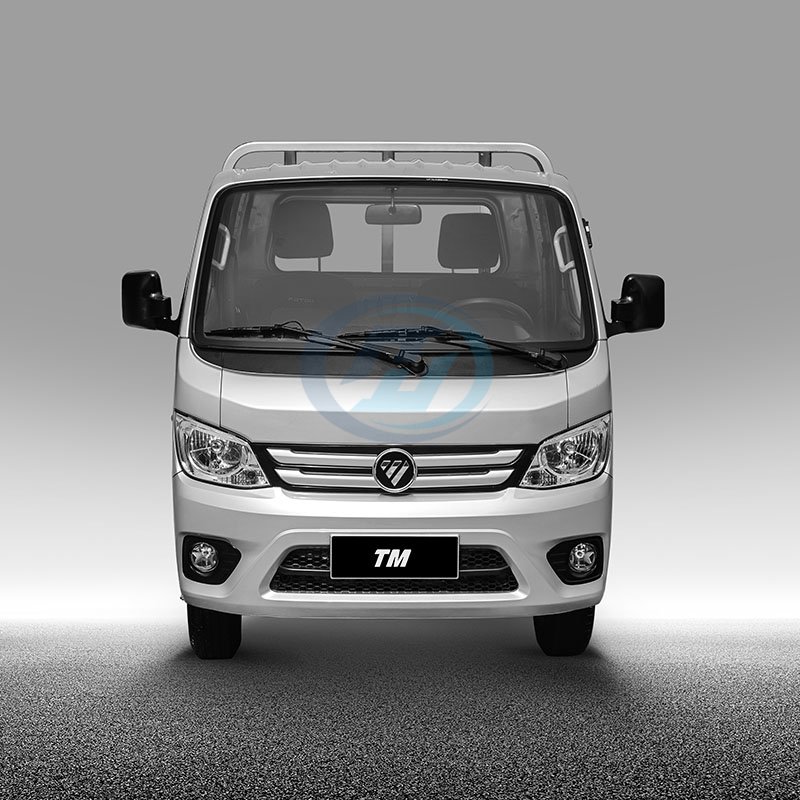 FOTON TM2 Mini Cargo Truck