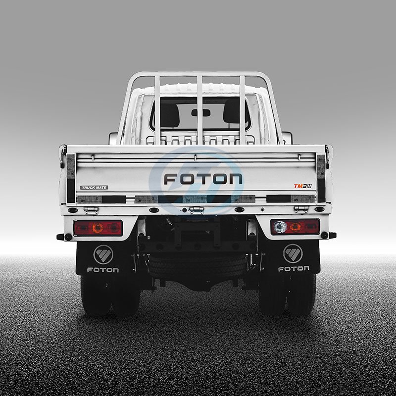 FOTON TM2 Mini Cargo Truck