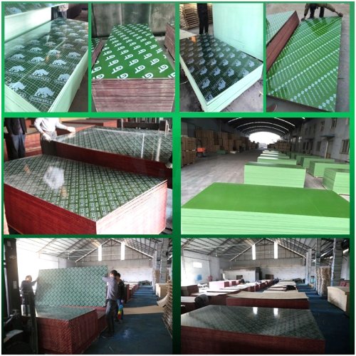Green PP-TECH plastic film faced formwork plywood