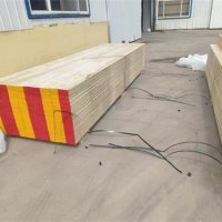 2024_11_1小河旁 (1)