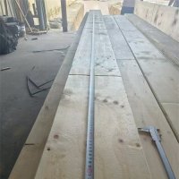 2024_11_1小河旁 (3)