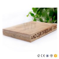 HTB13jyHXyfrK1RjSspbq6A4pFXaZ