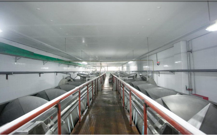 Sección de procesamiento de preenfriado: enfriamiento de agua y deshidratación