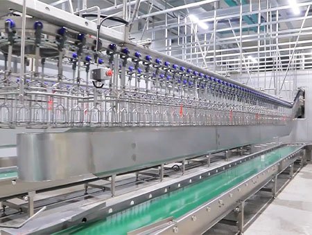 PROCESAMIENTO DE AVES VIVAS