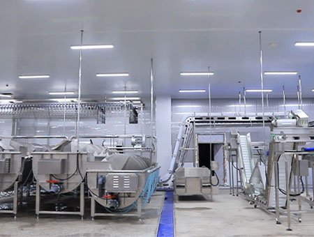 PROCESAMIENTO DE PIES