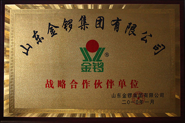 Socio estratégico de Shandong Jinluo