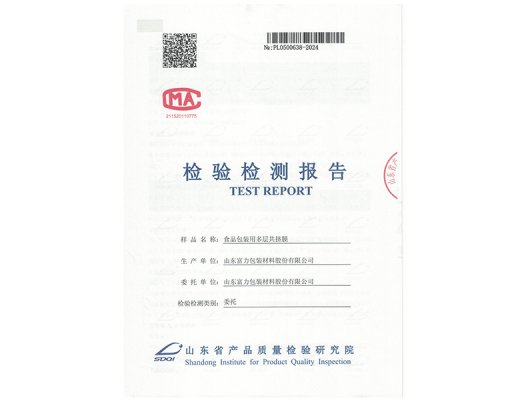 Test Report of SDQI