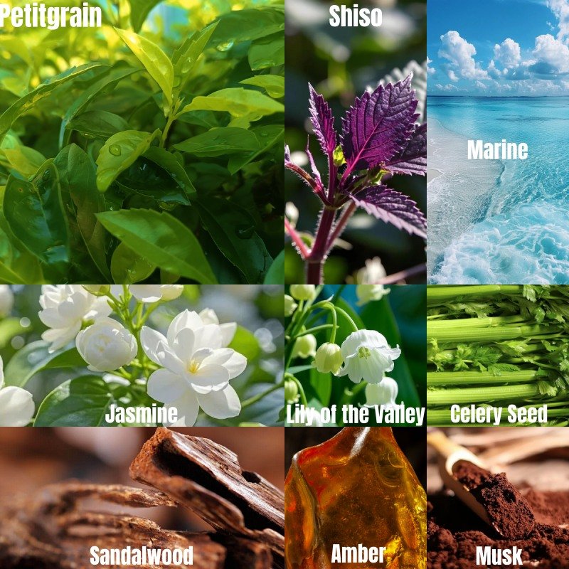 9.喜来登Sheraton-英