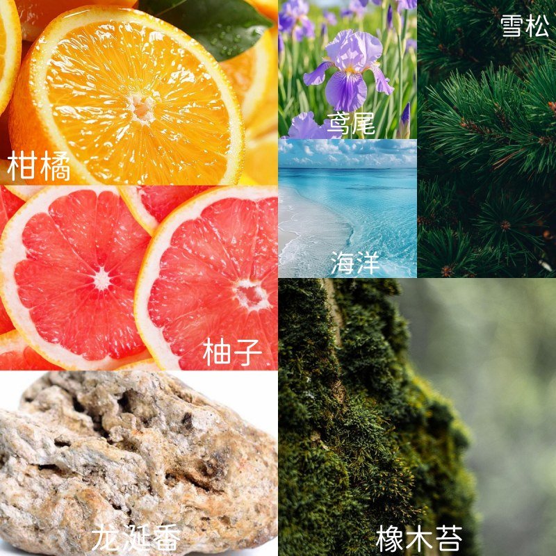 14.鸢尾橡木苔Iris & Oakmoss-中