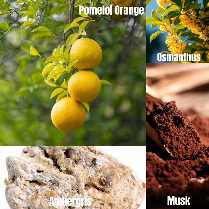 3.丽丝卡尔顿Ritz-Carlton-英