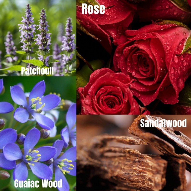 15.愈木玫瑰GuaiacWoodRose-英