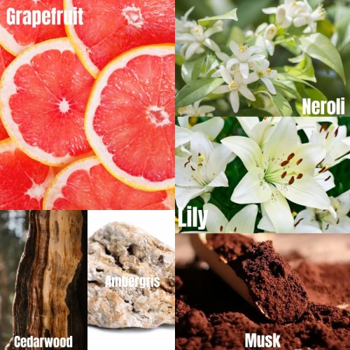 Galaxy International