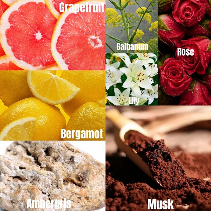 5.凯宾斯基Kempinski-英