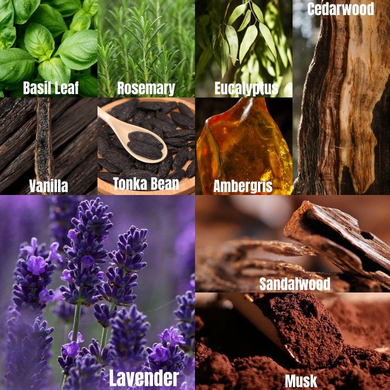 17.薰衣草檀香LavenderSandalwood-英