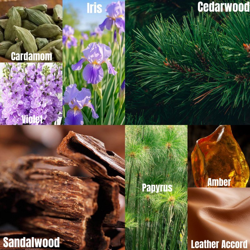 30.梧叶秋声Autumn Phoenix Accord-英_副本