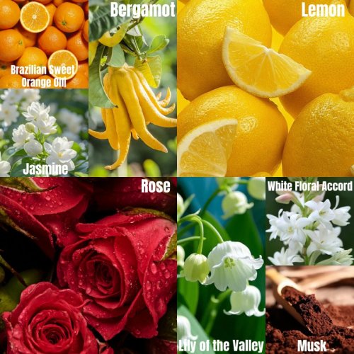 Roman Holiday (Base)