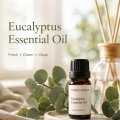 01Eucalyptus