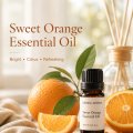 02Sweet Orange