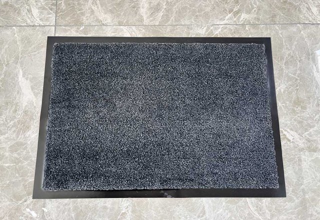 Ginot Water Absorption Carpet