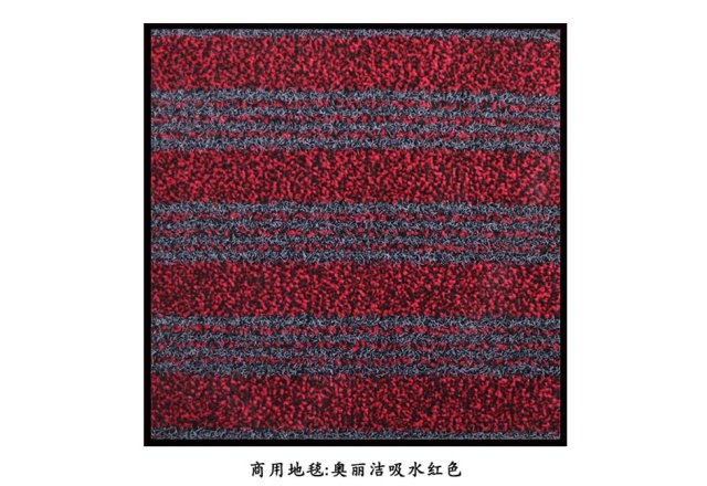 Oljie Water Absorption Carpet