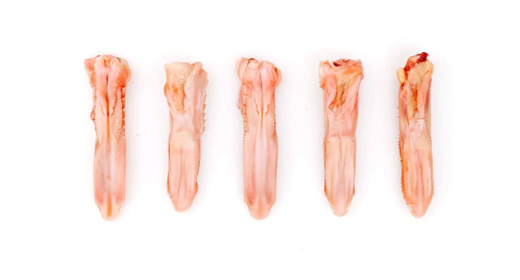 Duck tongue