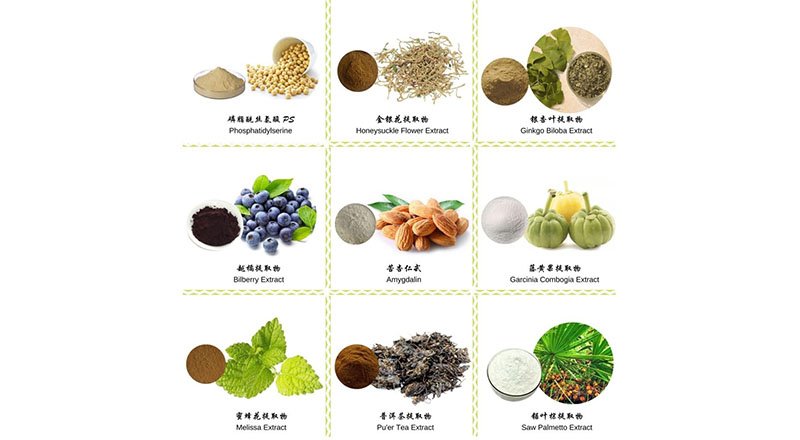 Plant Extracts Gain Global Attention for Health Benefits and Innovation