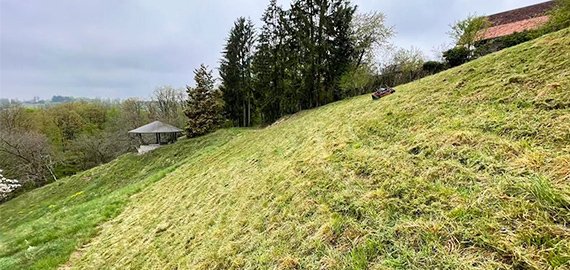 Clear weeds from the garden