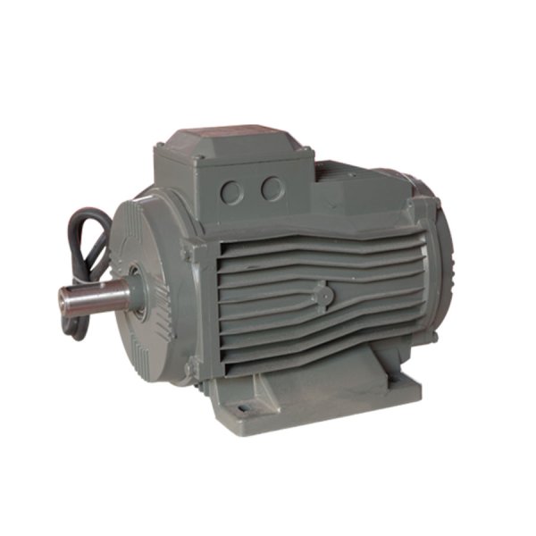 HORIZONTAL MOTOR
