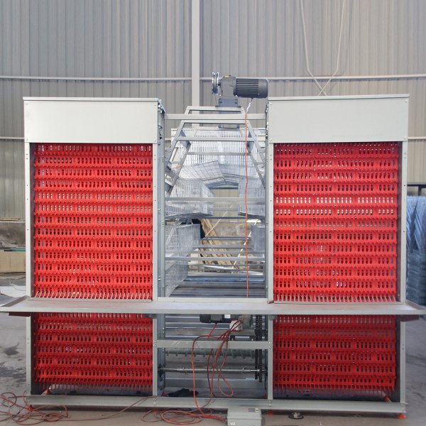 Stacked Egg Collection System