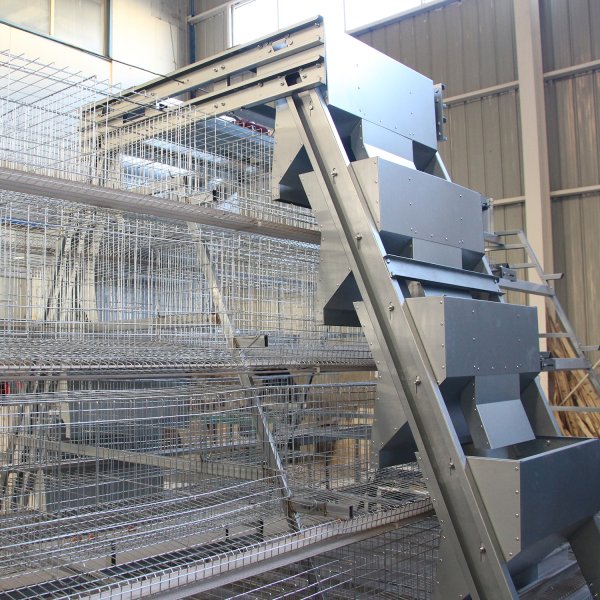 A-type Fully Automatic Layer Cage 
