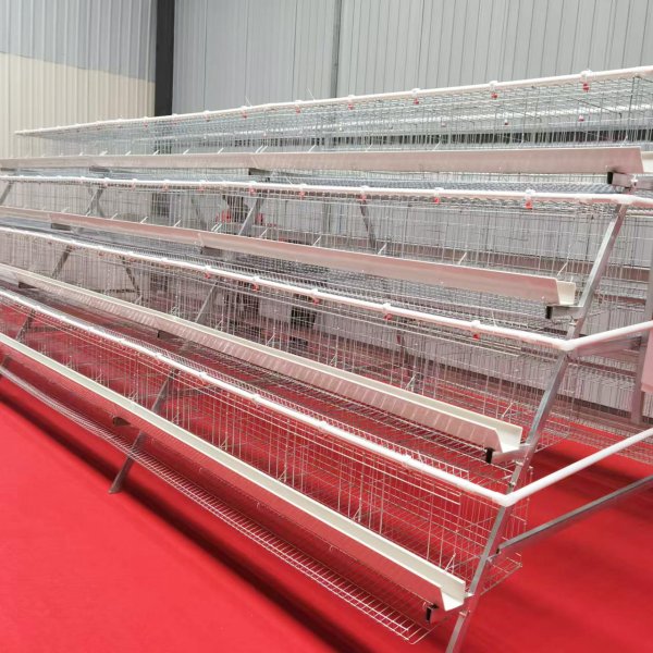 A-type 4 Layers Chicken Cage