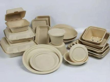 Bagasse Pulp Biodegradable Tableware Making Machine 