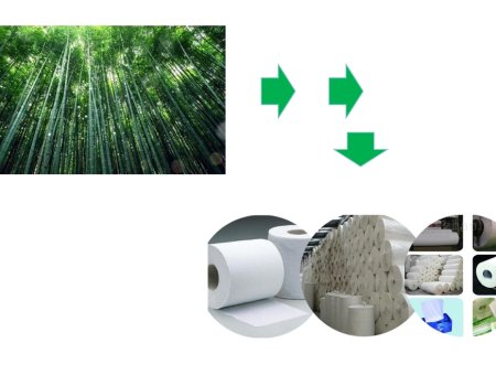 DEVELOPMENT OF BAMBOO PAPER MAKING MACHINE TECHNOLOGY