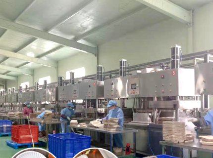 Bagasse Pulp Machinery Disposable Paper Plates Making Production Line