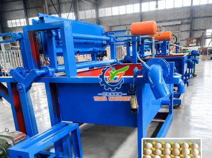 Waste Paper Recycling Pulp Paper Egg Tray Machine with Factory Price
