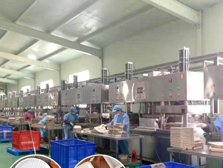 China Sugarcane Pulp Plate Making Machine Cost