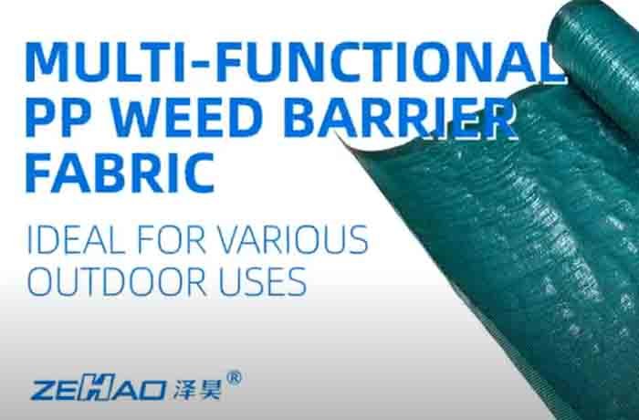 Zehao Green PP Weed Barrier Fabri