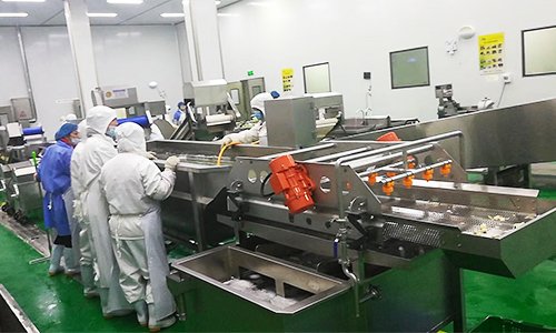 Vegetable processing line